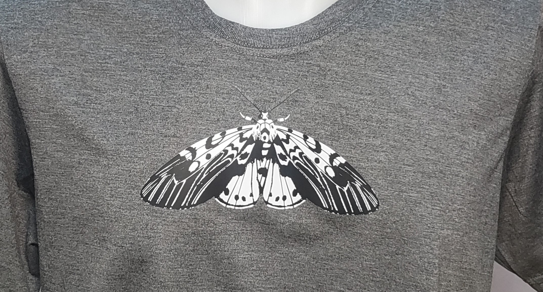 Moth Graphic Cotton Tee (Large)