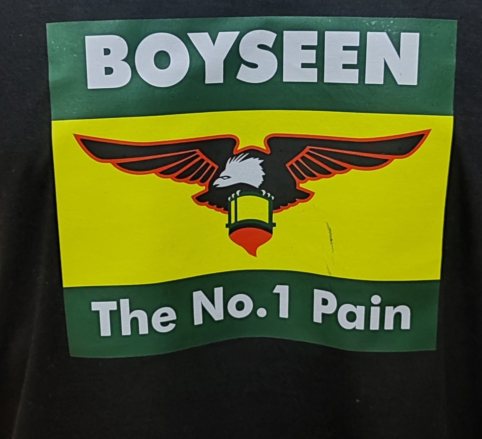 Boyseen Graphic Cotton Tee (Medium)