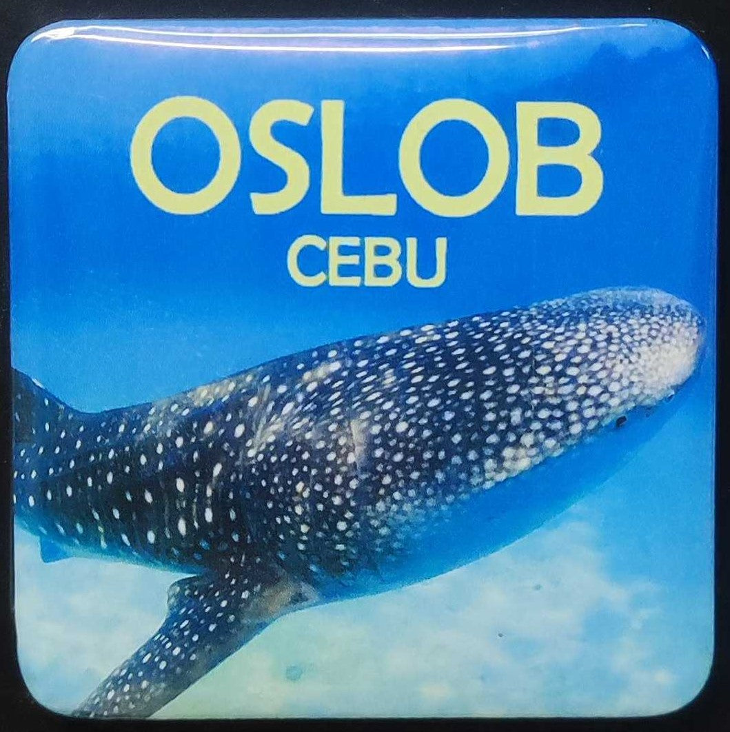 Custom Refrigerator Magnets – 12 pcs for only ₱420